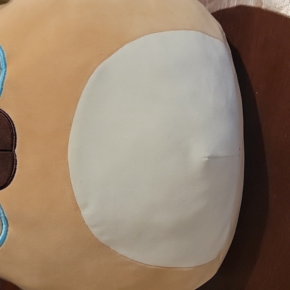 (J3) Daryl the dog with glasses Squishmallow - Picture 3 of 8